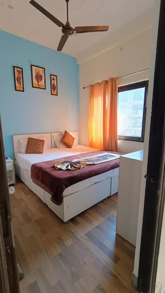 Olt Hostel Risikés Kültér fotó