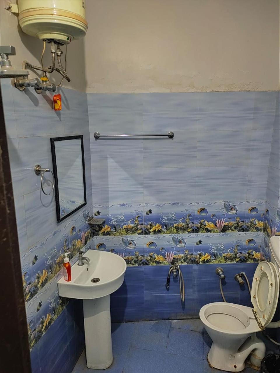 Olt Hostel Risikés Kültér fotó